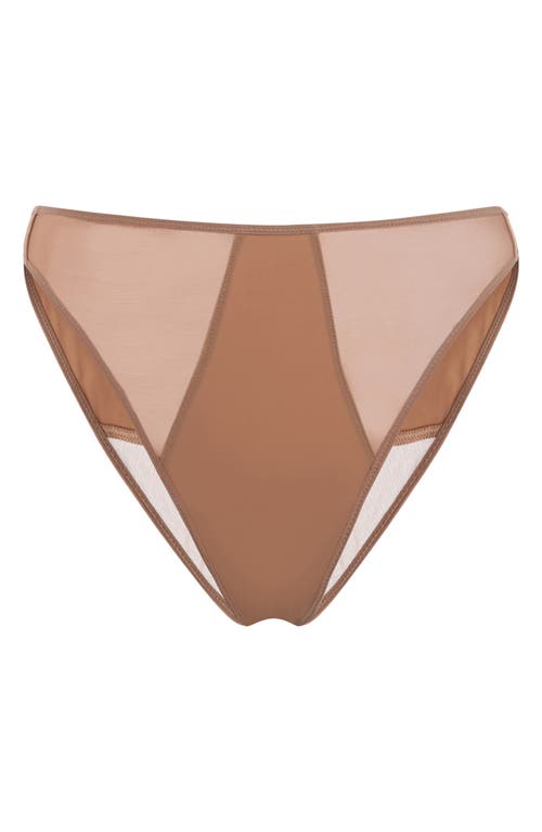 Shop Wolford Bikini Briefs In Macchiato