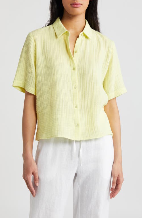 Eileen Fisher Classic Short Sleeve Organic Cotton Gauze Button-Up Shirt at Nordstrom,