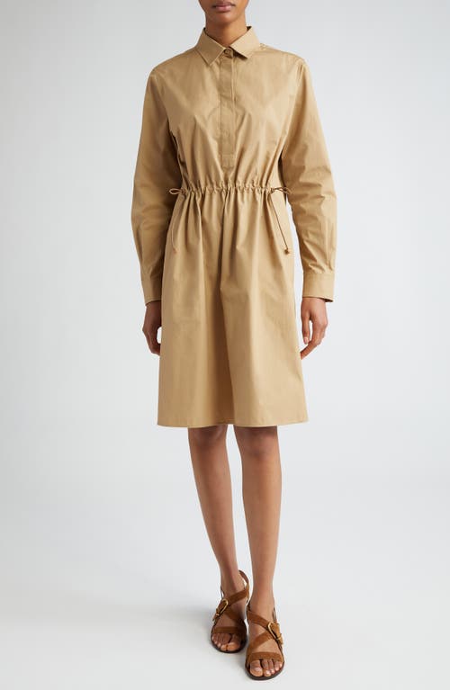 Max Mara Juanita Cinch Waist Long Sleeve Poplin Shirtdress Clay at Nordstrom,