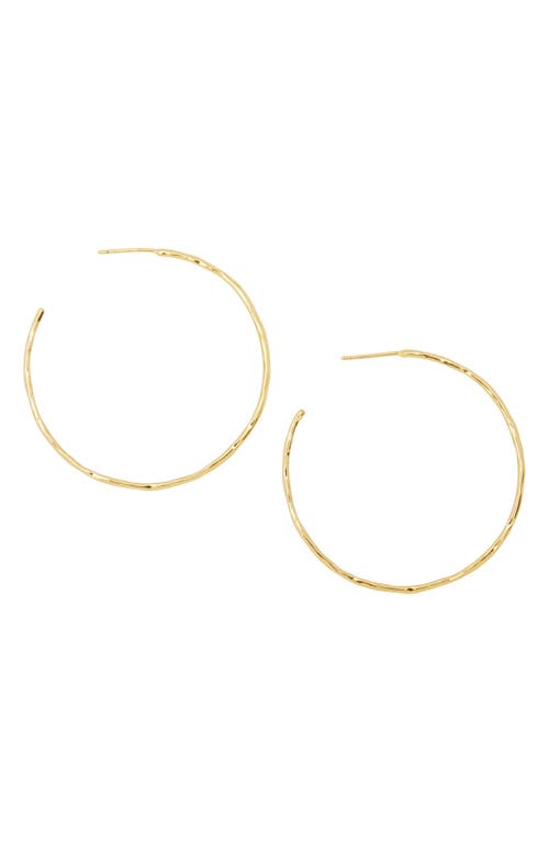 gorjana Taner Hoop Earrings in Gold