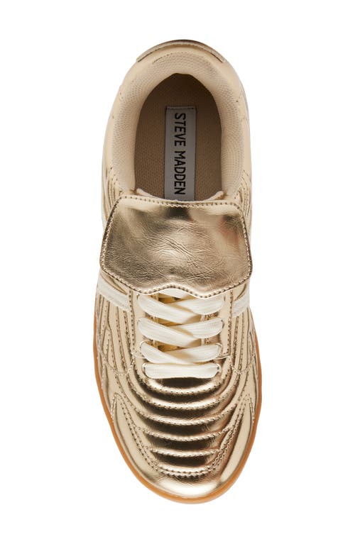 Shop Steve Madden Madrid Low Top Sneaker In Gold