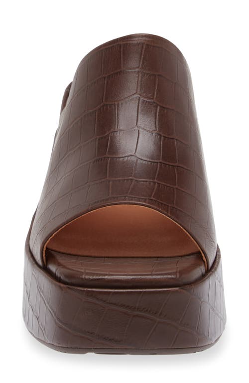 Chocolat Blu Helia Platform Sandal In Brown Embossed Crocodile
