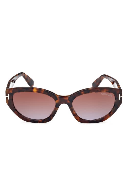 TOM FORD Penny 55mm Geometric Sunglasses in Shiny Vintage Havana /Brown at Nordstrom