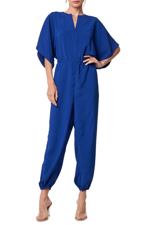 Bobbi Tapered Jumpsuit in Blue
