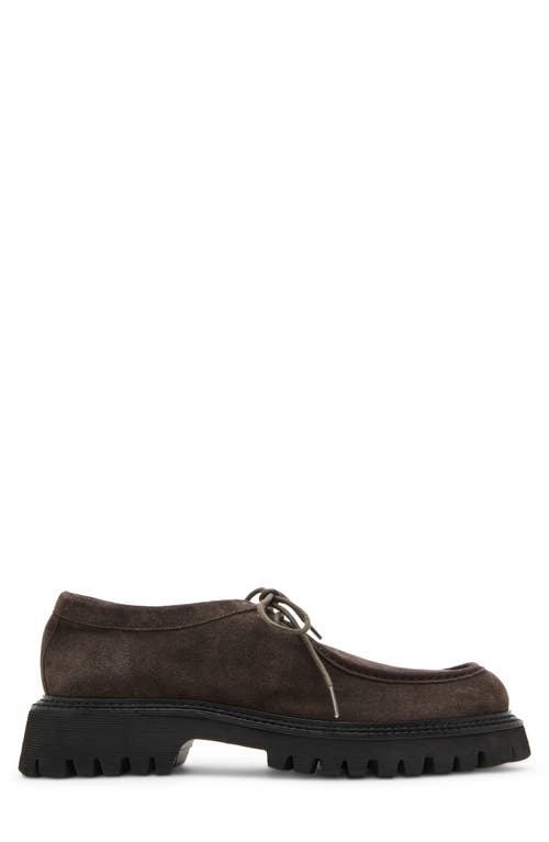 STEVE MADDEN STEVE MADDEN KALKIN CHUKKA SHOE 