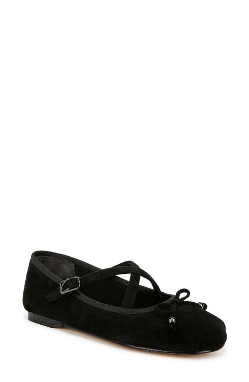 Circus Ny By Sam Edelman Zuri Ballet Flat In Black Suede