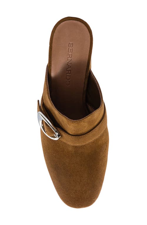 Shop Bernardo Footwear Natasia Mule In Safari