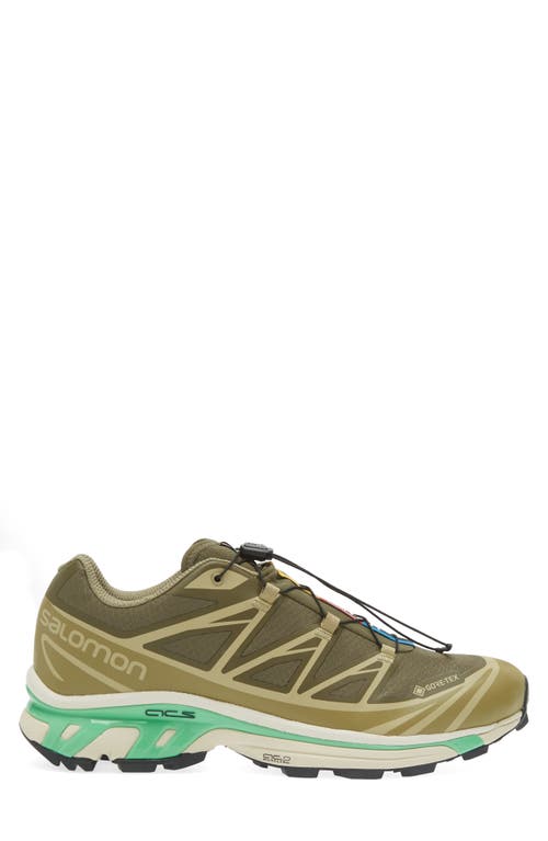 Salomon Gender Inclusive Xt-6 Gore-tex® Waterproof Sneaker In Olive Night/dried Herb