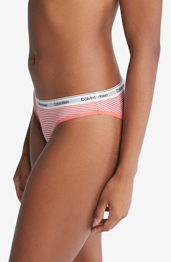 Shop Calvin Klein Assorted 3-pack Logo Bikinis In Speakeasy