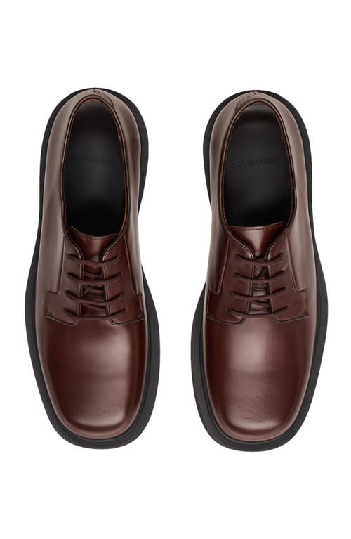 Shop Sandro Patent Leather Derbies In Black Brown