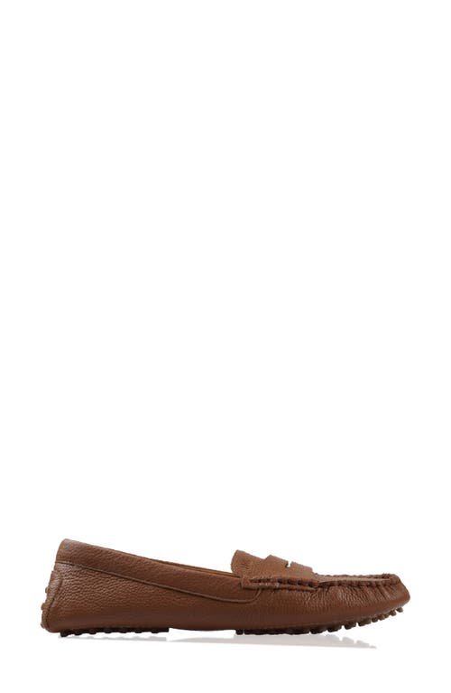 National Comfort Talulah Penny Loafer In Tan Leather