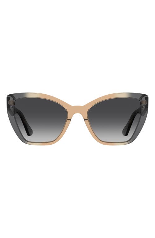 Moschino 55mm Gradient Cat Eye Sunglasses In Grey/tan