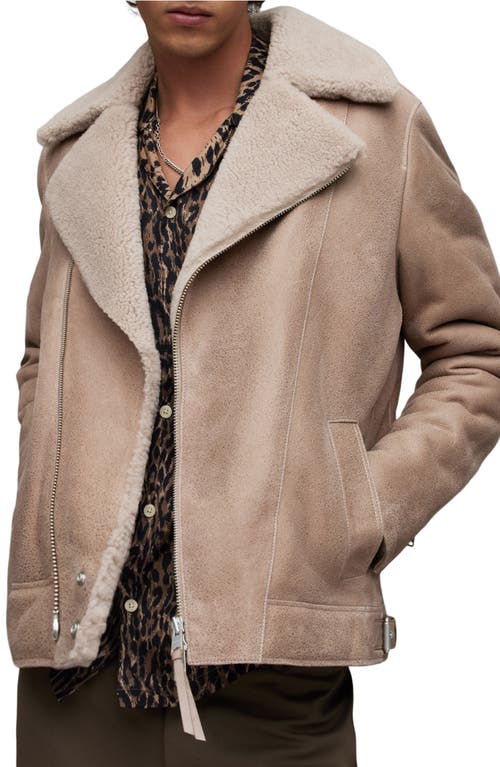 AllSaints Rasco Genuine Shearling Moto Jacket Faded Taupe at Nordstrom,