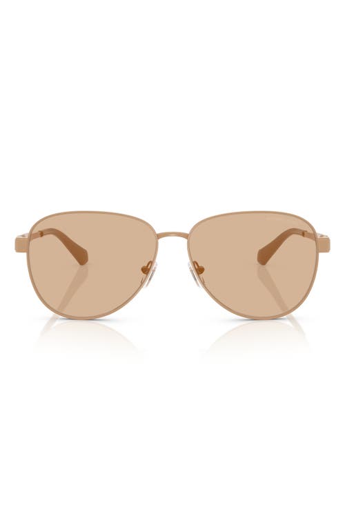 Michael Kors 59mm Pilot Sunglasses In Caramel