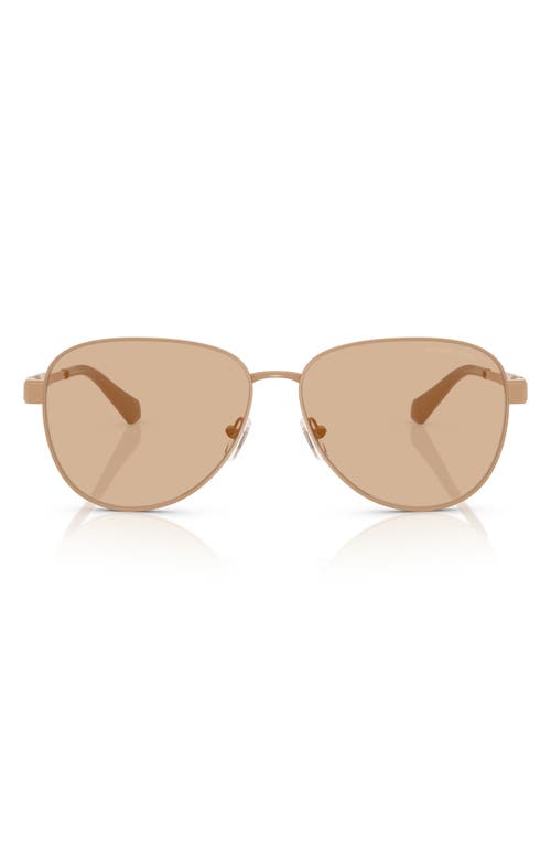 Michael Kors 59mm Pilot Sunglasses In Brown