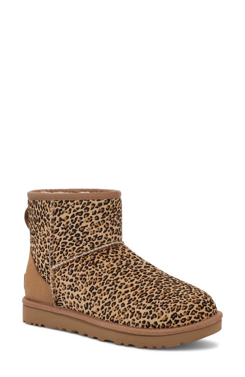 UGG(r) Speckles Genuine Calf Hair Classic Bootie in Chestnut