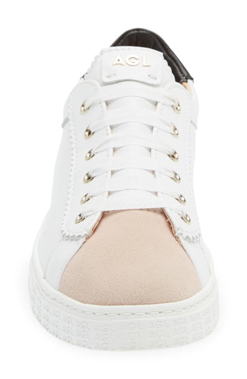 Agl Attilio Giusti Leombruni Women's Sade Lace Up Color Blocked Low Top Sneakers In White W/black