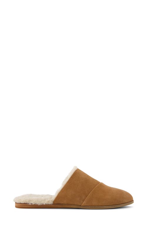 Shop Toms Jade Mule In Brown/faux Fur