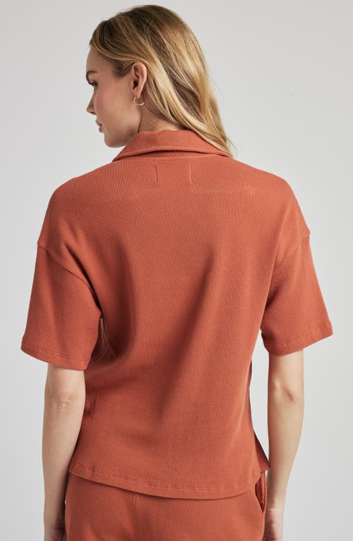 LOSANO LOSANO ORGANIC COTTON BUTTON DOWN SHIRT