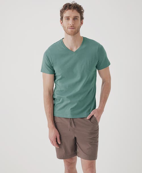 PACT PACT ORGANIC SOFTSPUN V-NECK TEE 