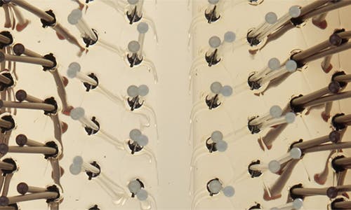 Guerlain Scalp & Hair Care Brush In Ivory