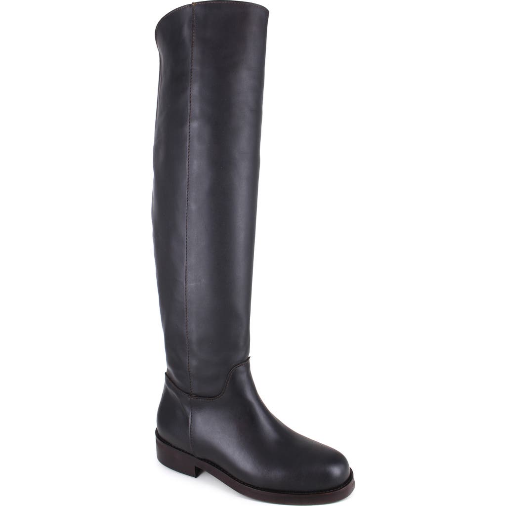 Ziginy Sansa Knee High Boot In Brown