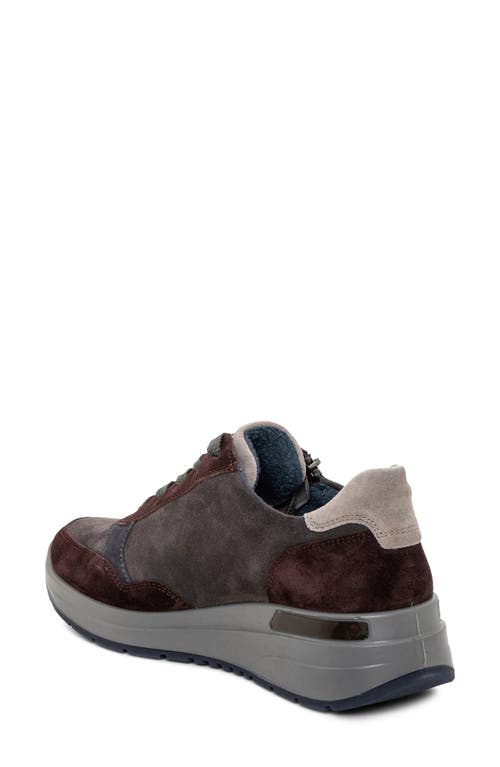 Ara Gardenia Sneaker In Brown