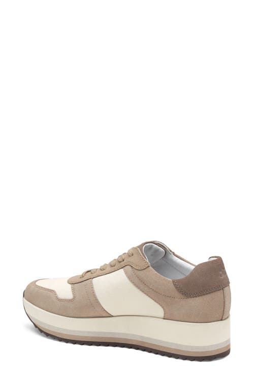 Shop Johnston & Murphy Gracie Colorblock Sneaker In Taupe Suede/cotton Calf