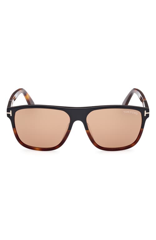 Shop Tom Ford Frances 58mm Square Sunglasses In Black Blonde/brown