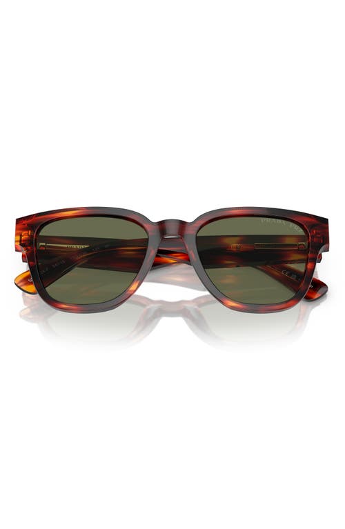 Prada 52mm Polarized Pillow Sunglasses In Havana Red