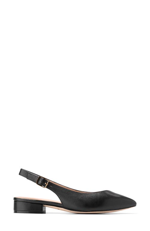 Cole Haan Marlah T-strap Pointed Toe Ballet Flat In Black Leather