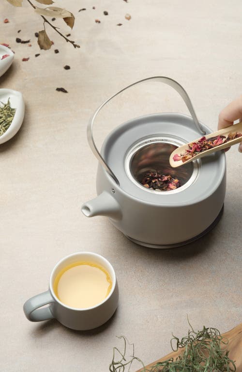 Ohom Leiph Self-heating Teapot Set In Soft Gray