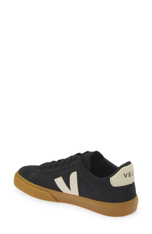 Shop Veja Campo Sneaker In Black Pierre