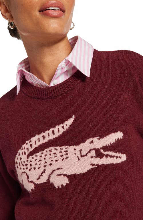 Shop Lacoste Big Croc Cashmere & Wool Crewneck Sweater In Zinfandel/candy