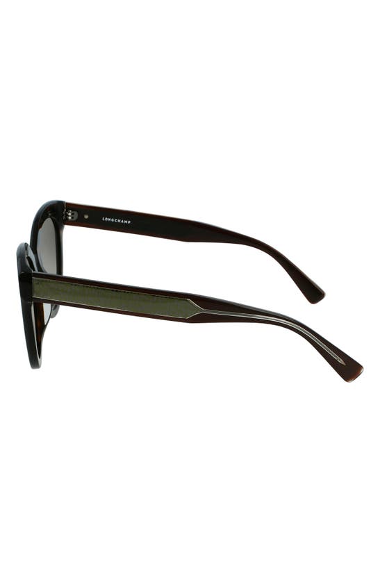 Shop Longchamp Lgp Monogram 54mm Cat Eye Sunglasses In Tortoise