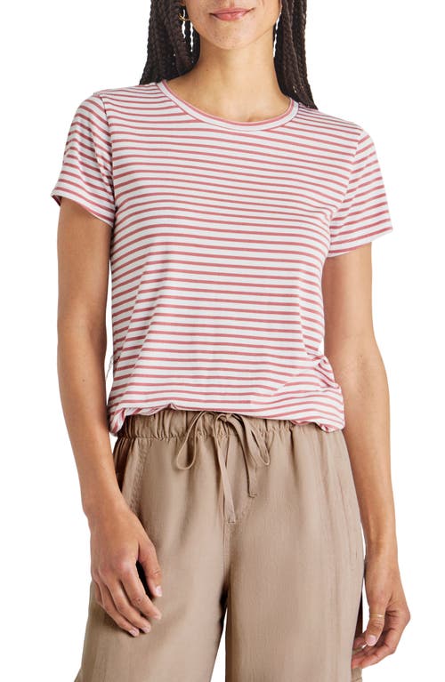 Lulu Stripe T-Shirt in Dawn/White