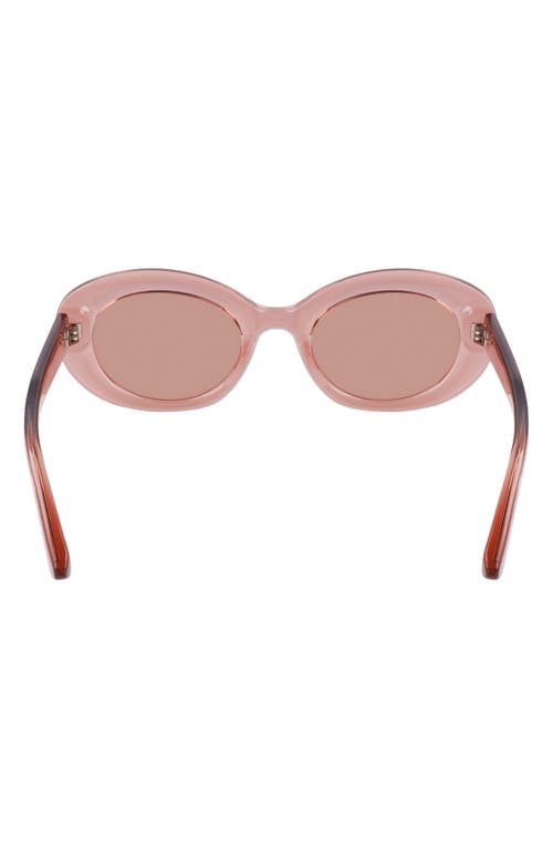 Longchamp Le Pliage 50mm Oval Sunglasses In Transparent Rose