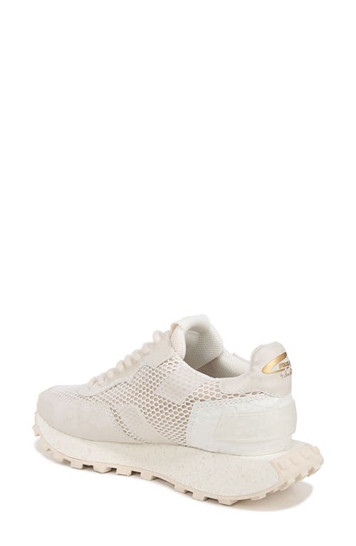 Shop Circus Ny By Sam Edelman Devyn Sneaker In White/cream