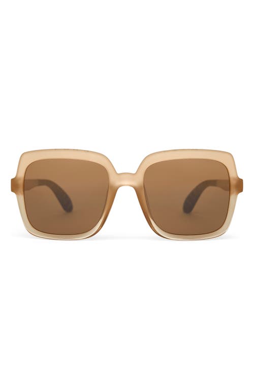 TOMS Athena 56mm Square Sunglasses in Oatmilk Crystal Fade/Brown 