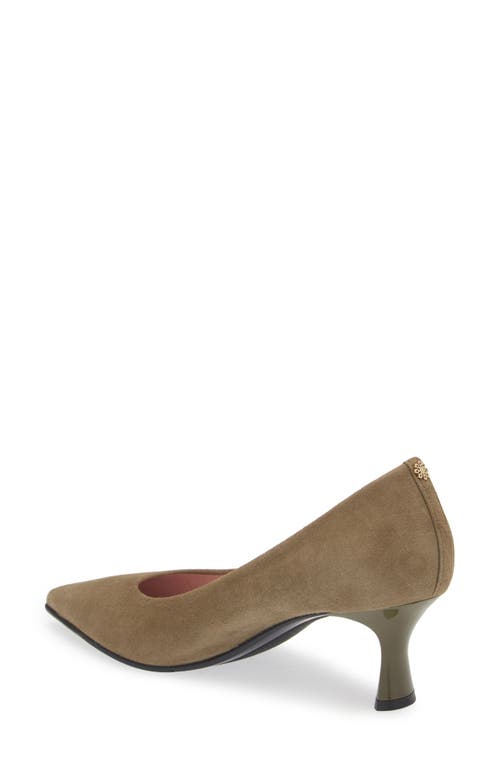 Naot Margot Pointed Toe Pump In Olive Suede