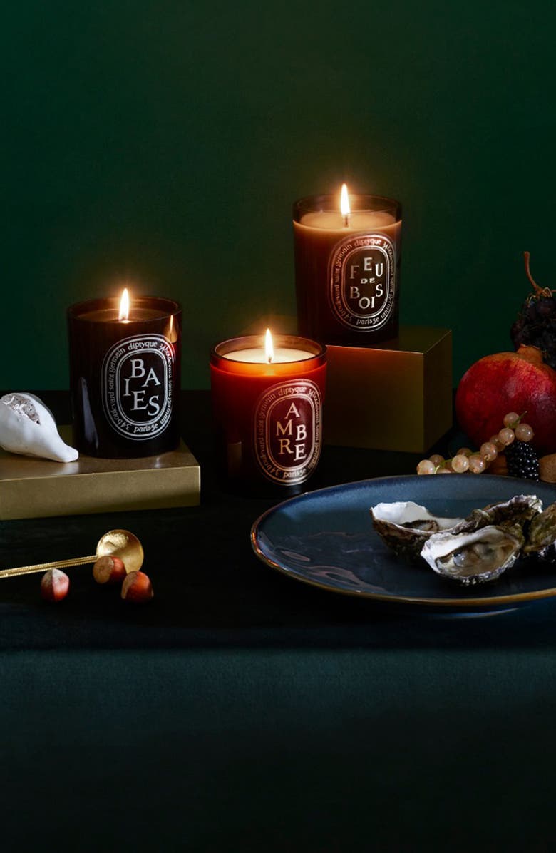 Diptyque Ambre (Amber) Scented Candle, Alternate, color, 