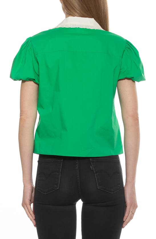 Alexia Admor Sandra Short Sleeve Button-up Blouse In Green