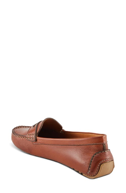 Spring Step Audette Penny Loafer In Brown