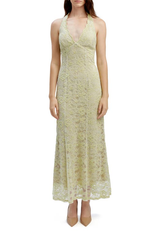 Evana Lace Midi Dress in Pale Khaki