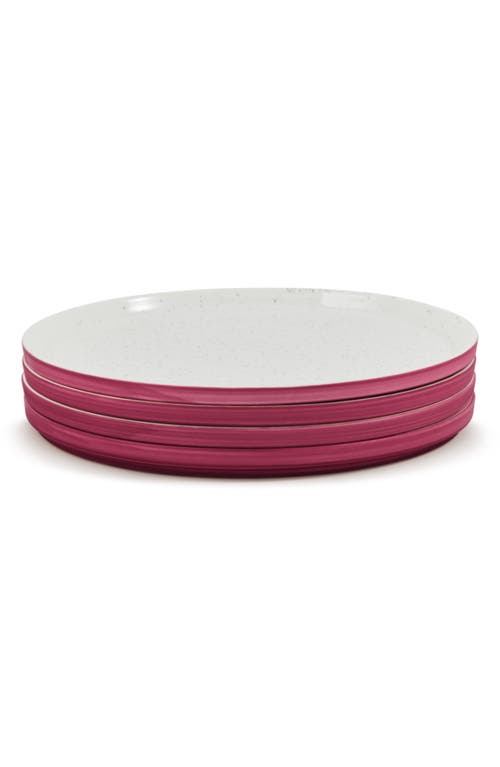 Our Place Set of 4 Dinner Plates in Rosa