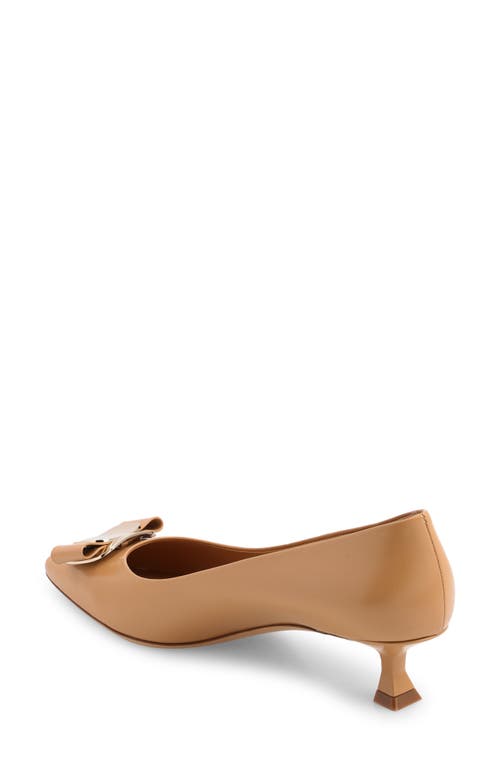 Shop Ferragamo Zelma Bow Pointed Toe Kitten Heel Pump In Light Camel