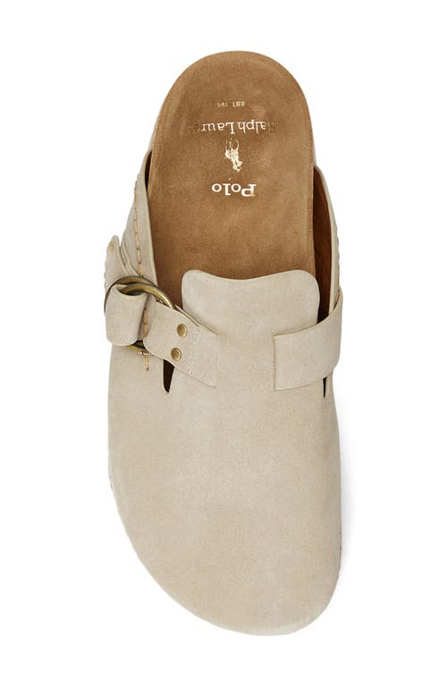 Shop Polo Ralph Lauren Suede Clog In Milkshake