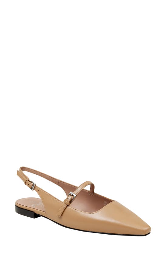 Shop Linea Paolo Celeste Slingback Pointed Toe Flat In Desert
