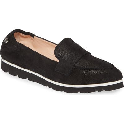 Agl Micro Pointed Toe Loafer, Black