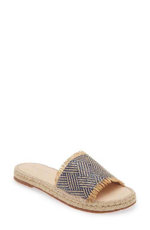 Chocolat Blu Evana Raffia Slide Sandal Blue Combo at Nordstrom,